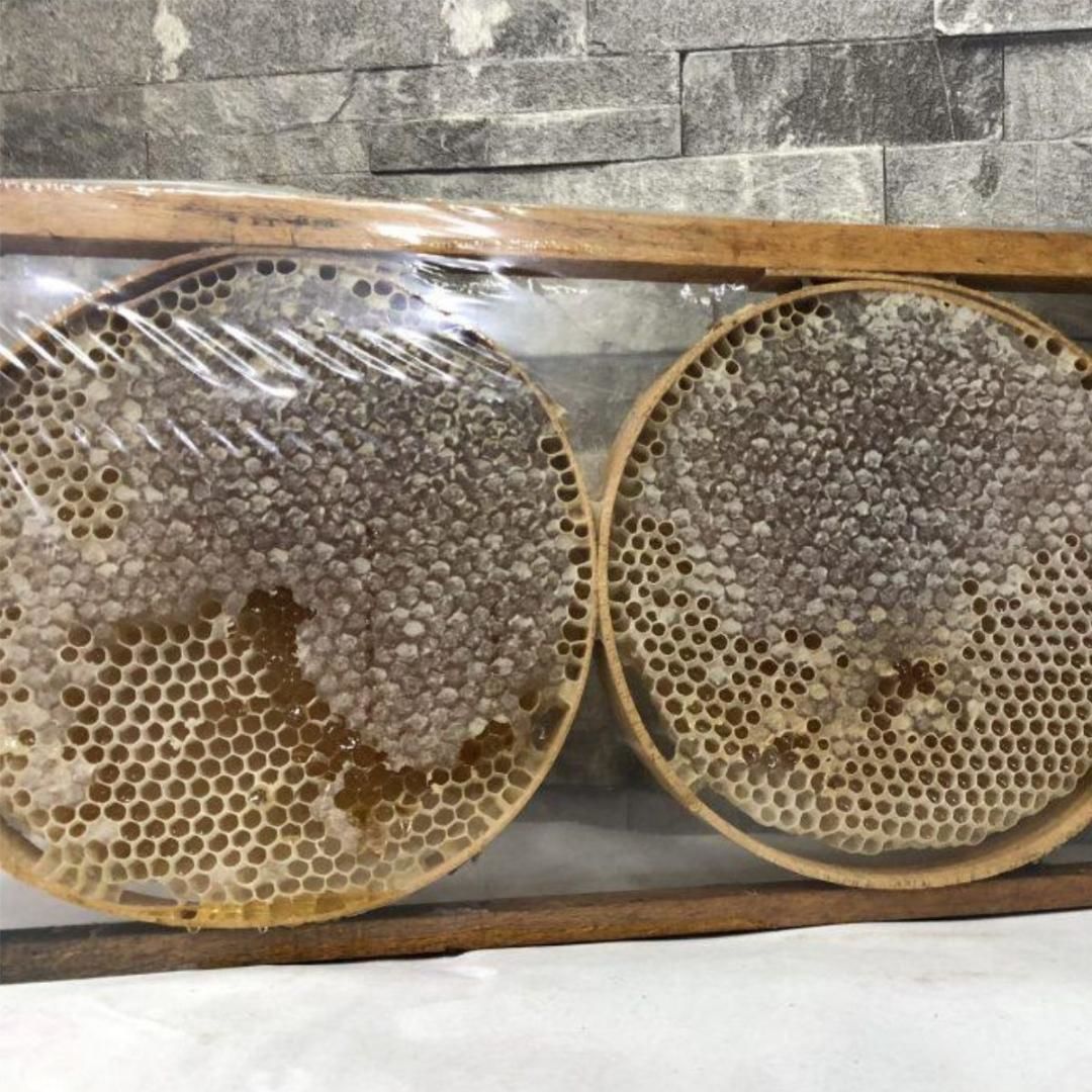 Hizan Karakovan 1550/1700 Gr Petek Balı