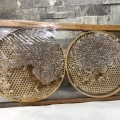 Hizan Karakovan 1550/1700 Gr Petek Balı