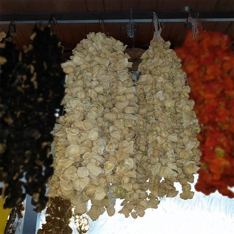 Kuru Kabak Dolmalık  50 Adet