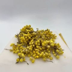 Altın Otu Çayı 20 gr