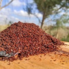 Urfa Ev Yapımı Mor İsot 1 kg