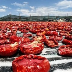 Domates Kurusu - Kızartmalık 500gr