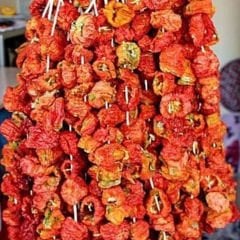 Dolmalık Tatlı Kuru Biber - 50 Adet