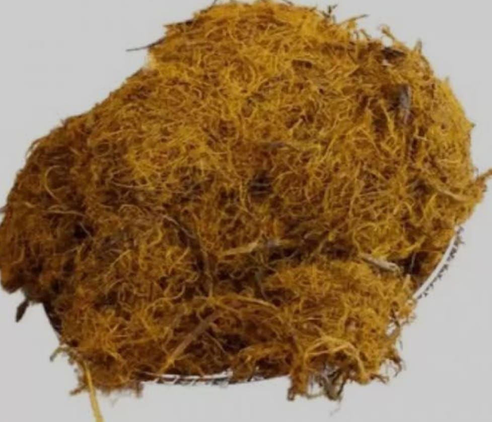 MEYAN KÖKÜ 500 GR