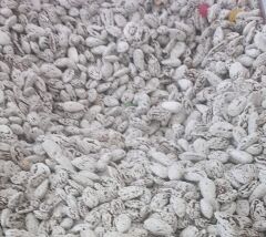 Yöresel Badem Şekeri